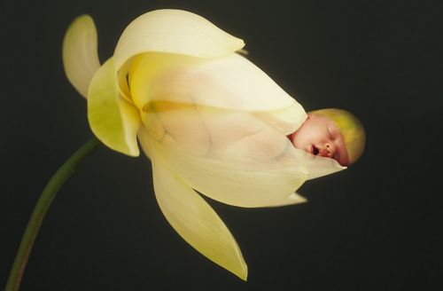 anne-geddes-14.jpg